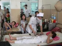 TP.HCM khẩn trương phòng chống dịch bệnh