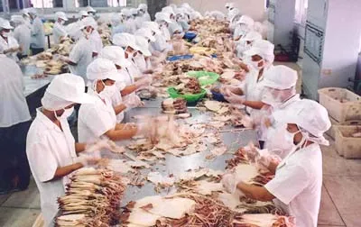 Xuất khẩu hàng thực phẩm Việt Nam vào Nhật Bản