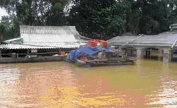 62 người chết, 23 người mất tích vì mưa lũ