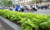 Tuyến đường đẹp hơn nhờ “Dân vận khéo”