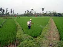 Hội nông dân: Điểm tựa của nhà nông