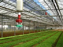 Đẩy nhanh quá trình xây dựng Nông thôn mới ở TP: Nghe dân nói