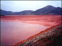 Bình luận: Lời giải nào cho bài toán Bauxite Tây nguyên?