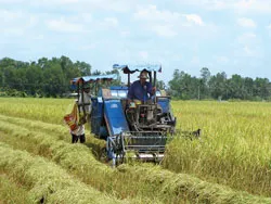 Nông dân Việt Nam dùng hàng Việt Nam