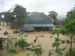 Bình luận: Đừng ăn bám vào thiên nhiên