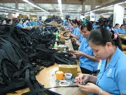 TP. HCM: Năm 2011 cần trên 260.000 lao động