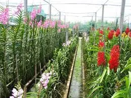 Hội Nông dân TP tổng kết 5 năm công tác chuyển dịch cơ cấu kinh tế nông nghiệp TP