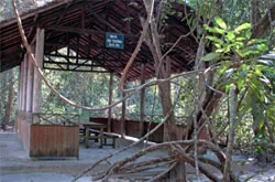 Khởi sắc vùng đất cách mạng