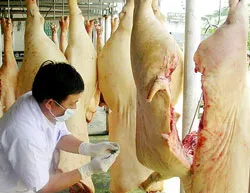 Kêu gọi lương tâm nhà sản xuất, đợi đến bao giờ?