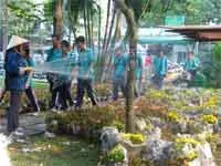 PCT UBND TP.HCM Nguyễn Thành Tài kiểm tra công tác chuẩn bị chợ tết hoa kiểng tại bến Phú Định