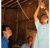 Mang mùa xuân đến xã đảo Thạnh An