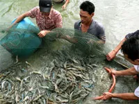 VĐHN: Cần chính sách đặc thù