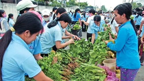 Công nhân gồng mình vượt qua bão giá