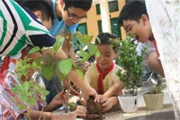 Những tiết học xanh