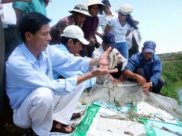VĐHN: Sử dụng kháng sinh không đúng trong nuôi thủy sản – những mối nguy