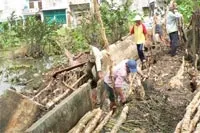 Chỉ thị của UBND TPHCM về tăng cường công tác phòng, chống thiên tai