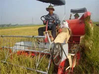 Nâng cao thu nhập cho nông dân ở các xã nông thôn mới