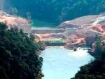 Xây dựng đập trên sông Mekong sẽ ảnh hưởng đường di cư của nhiều loài cá