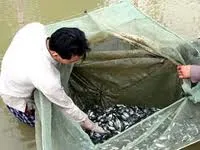 Tiếp tục hợp tác đào tạo, nghiên cứu thuỷ sản giữa Bỉ và Việt Nam