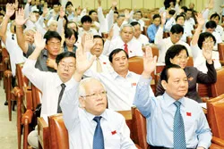 Hội đồng Nhân dân thành phố khóa 7: Nhiệm kỳ của nhiều đổi mới và thành công