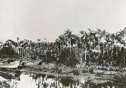Tháng tư, ngoại thành…