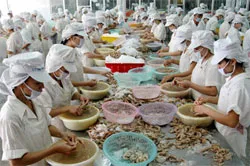 Xuất khẩu nông sản 4 tháng đầu năm - mừng nhưng chưa hết lo