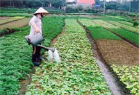 Nâng cao đời sống người dân ở xã nông thôn mới