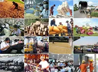 Thực hiện Nghị quyết 11 của CP: Thành Đoàn tăng cường biện pháp bảo đảm an sinh xã hội chăm lo cho thanh niên