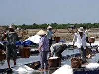 Lượng muối tồn đọng gần 220.000 tấn