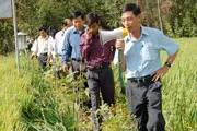 Tiền Giang tổng kết mô hình cùng nông dân ra đồng