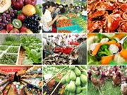 Đối thoại cùng chính quyền thành phố - Thuốc và an toàn vệ sinh thực phẩm