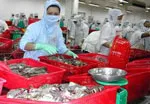 Hội thảo Dự báo ngành thủy sản Việt Nam 2011