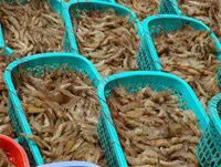 Xuất khẩu thủy sản không bị ảnh hưởng lớn