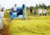 Vấn đề hôm nay: Phát huy nội lực trong dân