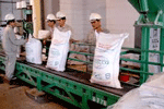 Giá đường tăng, liệu có nhập khẩu đường?
