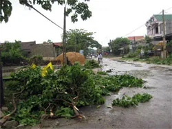 Các địa phương ứng phó với cơn bão số 2