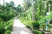 Bình luận: Xây dựng nông thôn mới- Trách nhiệm của toàn dân