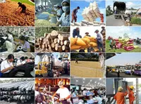 Tác động của các chính sách kinh tế và ứng phó của doanh nghiệp