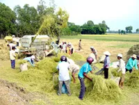 Khuyến khích đẩy mạnh sản xuất vụ Thu Đông, mùa và Đông Xuân sớm 2012.