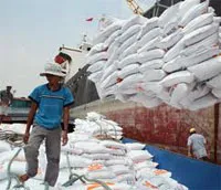VN sẽ xuất khẩu khoảng 7 triệu tấn gạo trong năm 2011