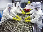Bình luận: Tôm đông lạnh Việt Nam tự tin ở thị trường quốc tế