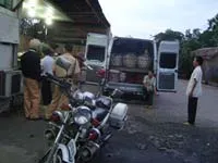 Quản lý vận chuyển động vật và sản phẩm động vật: Tránh tình trạng bắt cóc bỏ dĩa