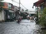 Thủ Đức rốt ráo thực hiện các công trình chống ngập và phòng chống lụt bão