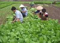 Xây dựng nông thôn mới: vận động tốt, hiệu quả cao
