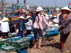Nghề đánh bắt thủy sản ở TP.HCM – Đầu tư để phát triển