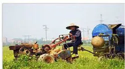 Hội nghị báo cáo chuyên đề xây dựng nông thôn mời