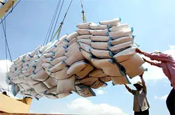 Phổ biến các văn bản hướng dẫn thi hành Nghị định 109 của CP về điều kiện kinh doanh xuất khẩu gạo