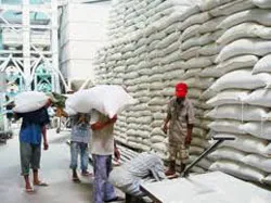 Cần thêm cơ chế chính sách để đạt 4 triệu tấn kho lúa gạo