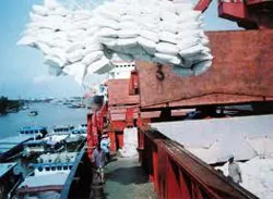 Tình hình xuất khẩu gạo diễn biến phức tạp