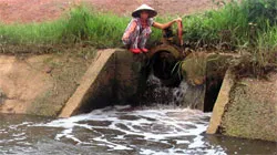 Lại đối xử tệ bạc với môi trường